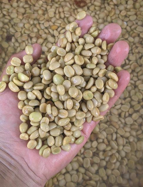 Logística y control de calidad