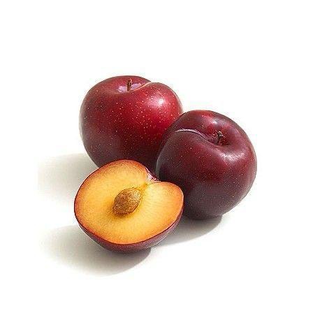 Productos Exotic Fruit Premium